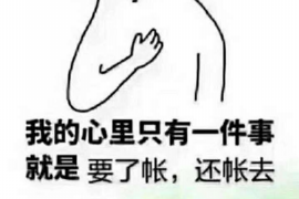 甘南企业清欠服务